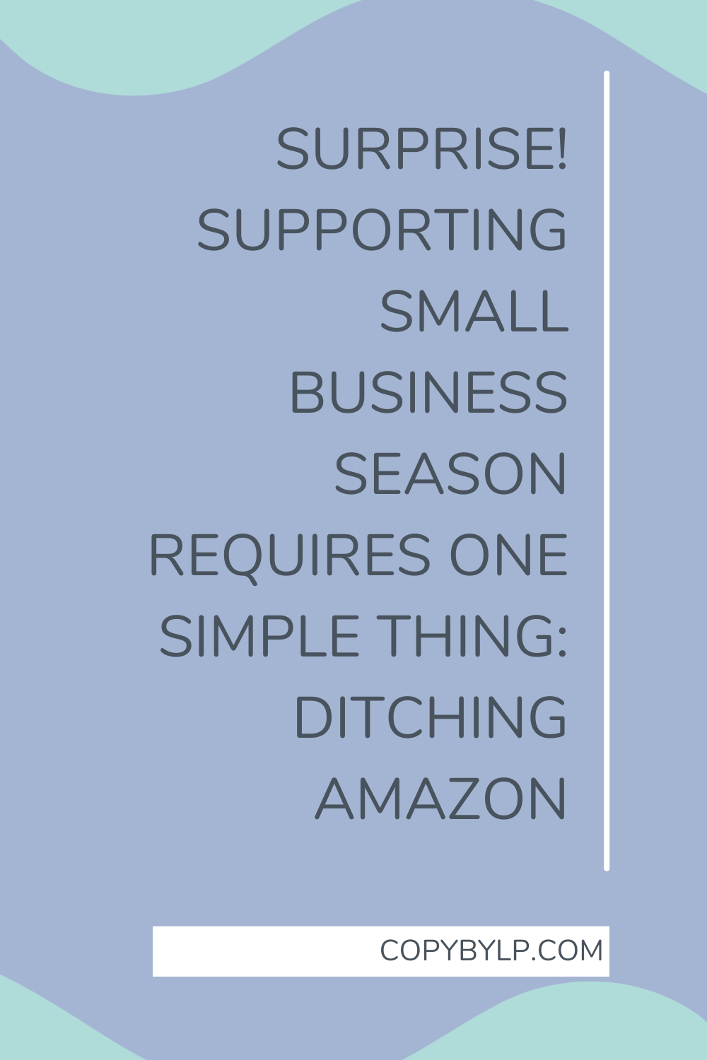 Surprise! Supporting Small Business Season Requires One Simple Thing: Ditching Amazon - blog title graphic