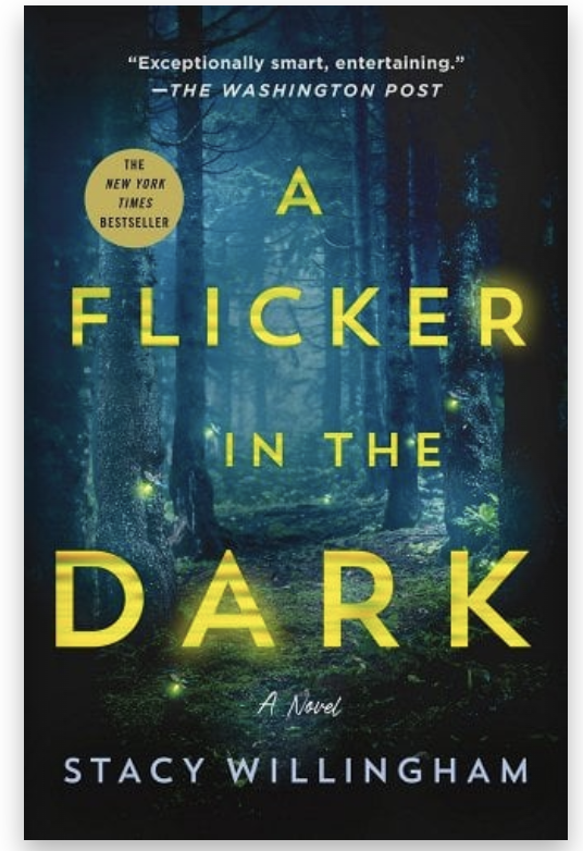 a flicker in the dark bookcover screenshot from bookshop.org