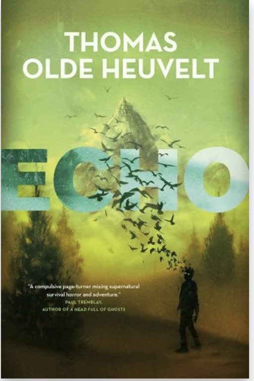 Echo book cover cover taken from bookshop.org